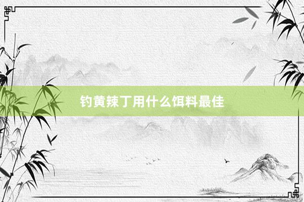 钓黄辣丁用什么饵料最佳