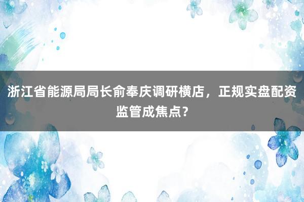 浙江省能源局局长俞奉庆调研横店,正规实盘配资监管成焦点?