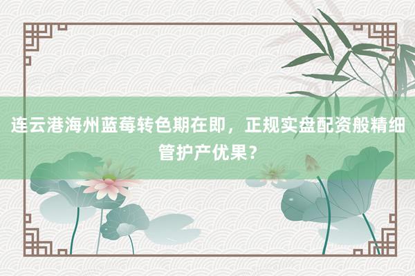 连云港海州蓝莓转色期在即，正规实盘配资般精细管护产优果？