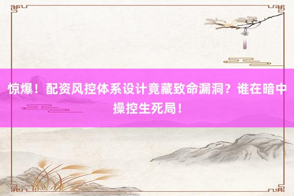 惊爆！配资风控体系设计竟藏致命漏洞？谁在暗中操控生死局！