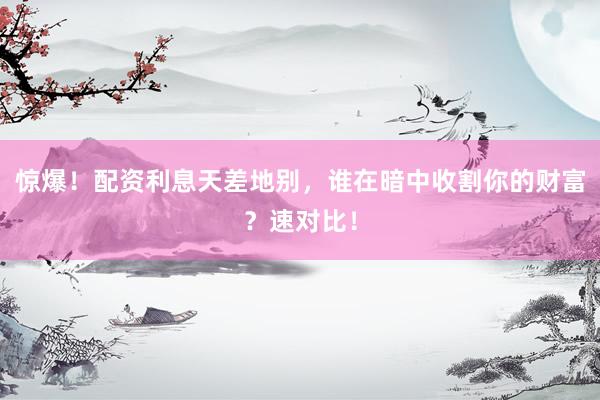 惊爆！配资利息天差地别，谁在暗中收割你的财富？速对比！