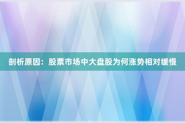 剖析原因：股票市场中大盘股为何涨势相对缓慢