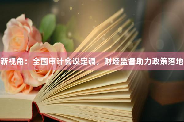 新视角：全国审计会议定调，财经监督助力政策落地