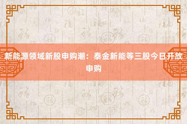 新能源领域新股申购潮：泰金新能等三股今日开放申购