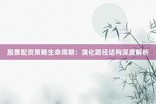 股票配资策略生命周期：演化路径结构深度解析