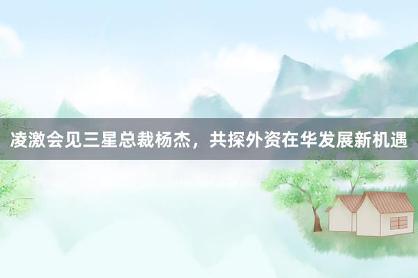 凌激会见三星总裁杨杰，共探外资在华发展新机遇
