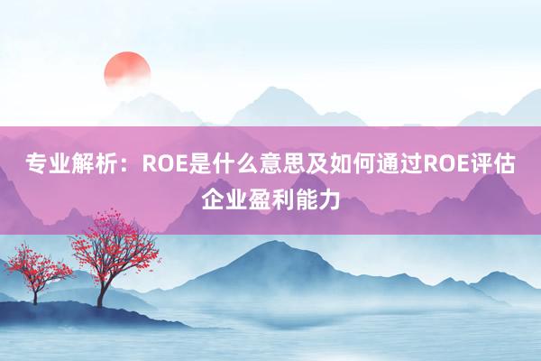 专业解析：ROE是什么意思及如何通过ROE评估企业盈利能力