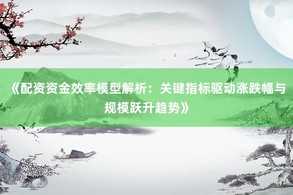 《配资资金效率模型解析：关键指标驱动涨跌幅与规模跃升趋势》